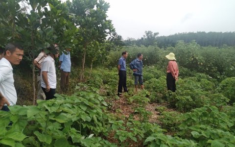 ĐOÀN CÔNG TÁC CỦA HUYỆN VỀ THĂM VÀ LÀM VIỆC VỚI XÃ CẨM TÂN  VỀ  PHÁT TRIỂN MỘT SỐ MÔ HÌNH KINH TẾ - XÃ HỘI TRÊN ĐỊA BÀN XÃ 