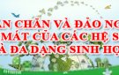 Bài tuyên truyền tuần lễ Biển và Hải đảo Việt Nam