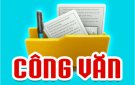 Công văn số 655/UBND-VP của UBND huyện Cẩm Thủy